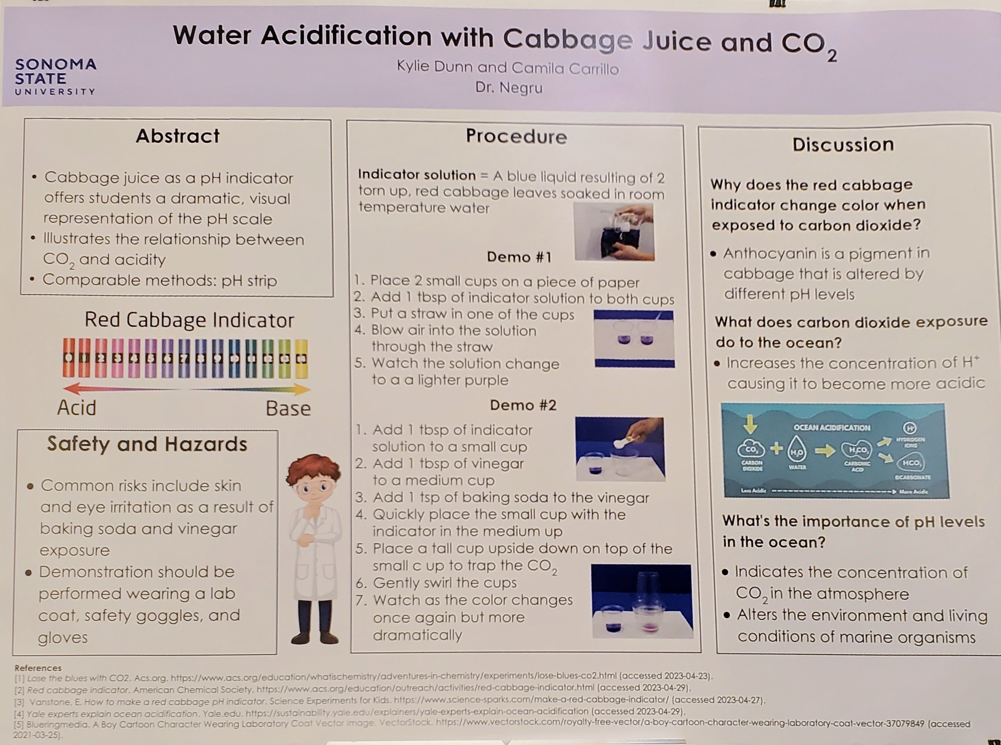 scientific poster on water acidification