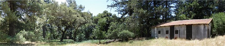 trees, grassland and old barn