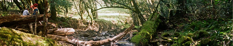 Student studying near creek