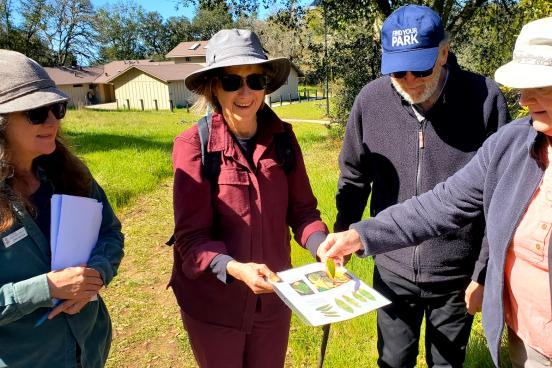 people in nature looking at SOD symptoms sheet