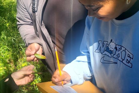 three people's hands holding leaves and a data sheet