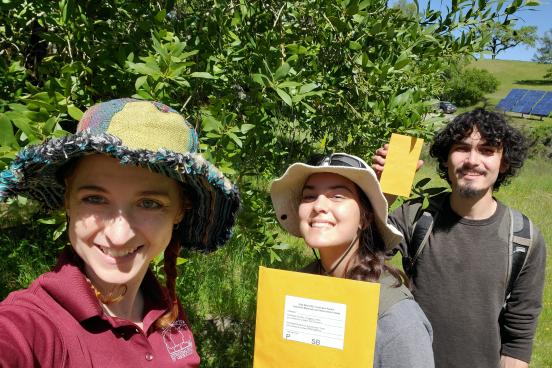 students with envelopes in front of a tree