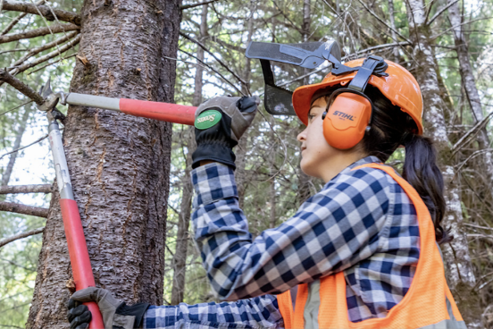 woman cuts a limb off a tree