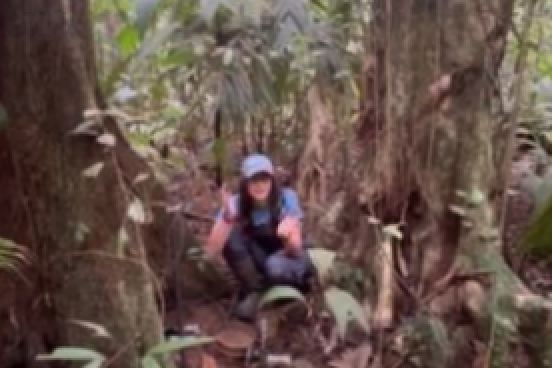 Person sampling microbial ecosystem in the rainforest