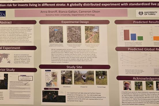 Predation risk for insects living in different strata: A globally distributed experiement with standardized live prey  Predation risk for insects living in different strata: A globally distributed experiement with standardized live prey