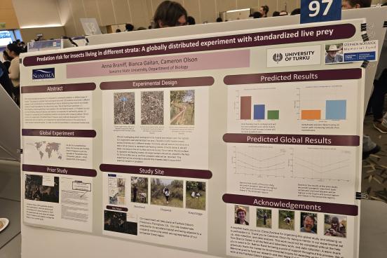 Project Poster of Predation risk for insects living in different strata