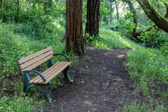 SSU Campus Nature Corridor
