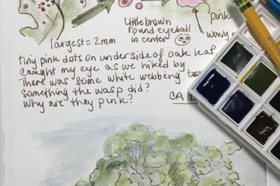 Journaling sketch by Sarah Reid