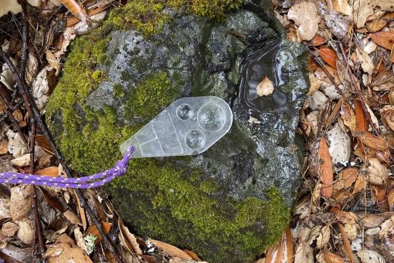 "Vesicles", small holes left behind after lava cools, on a rock at Osborn