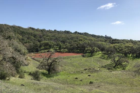 Fairfield Osborn Preserve