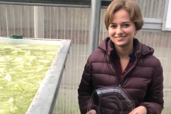 A woman holds a plastic plate next to vat of algae