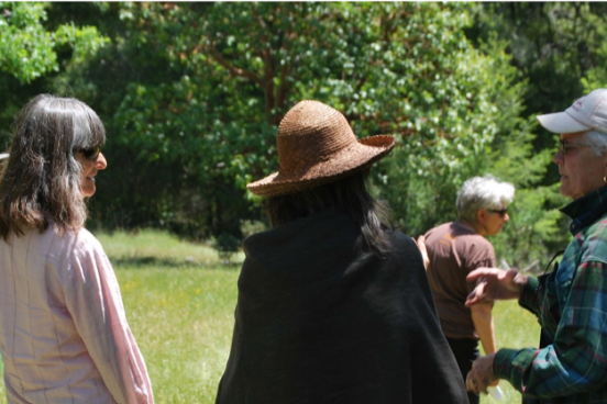 Several naturalist trainees listen to a leader in a sunny field