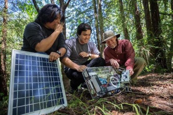 Students working with an instructor in the field