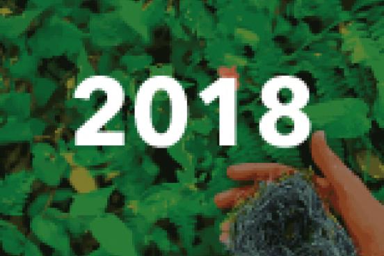 2018 Annual Report Cover