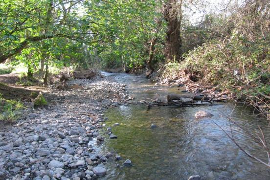 Copeland Creek