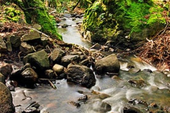 Copeland Creek