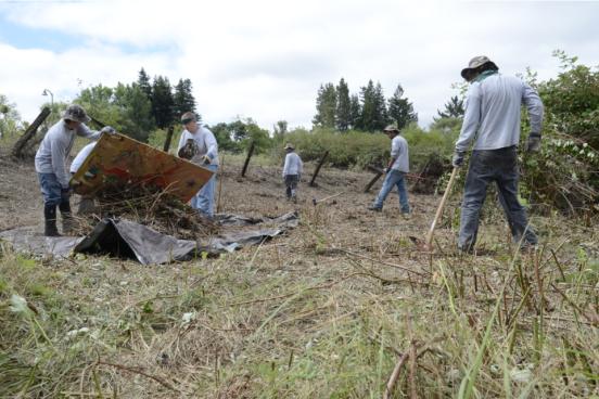 Ecology Corps