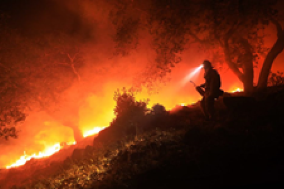 Fires in hills and effects of fire damage