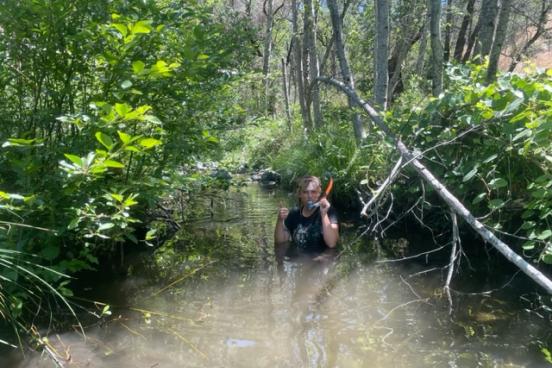 Beth Sabo studying Eggs and Larvae in Creek