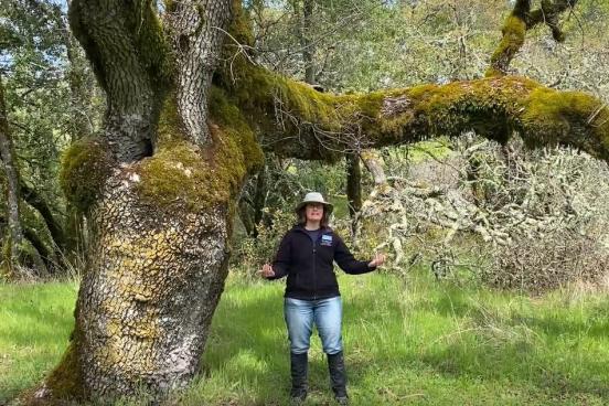 Woman in front of Osborn Tree