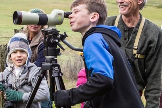 Junior Bird Count