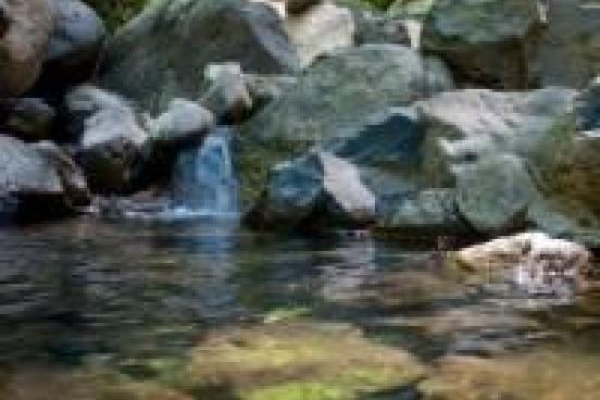 osborn copeland creek