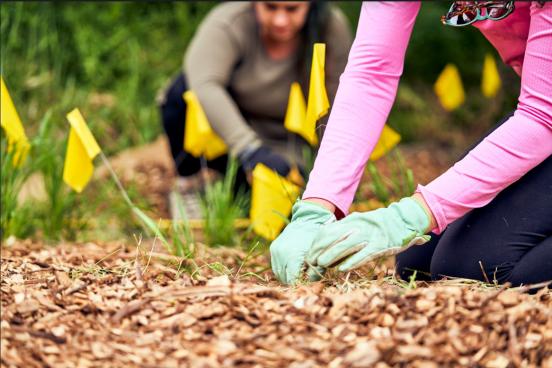 Students Emily Ledford and Savanna Thomas plant native species along Copeland Creek. Students grew the plants in their plant propagation course.