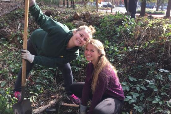 Students working at copeland  creek