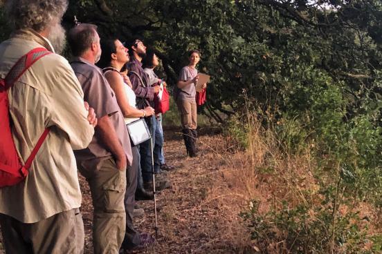 a group of hikers watch a sunset