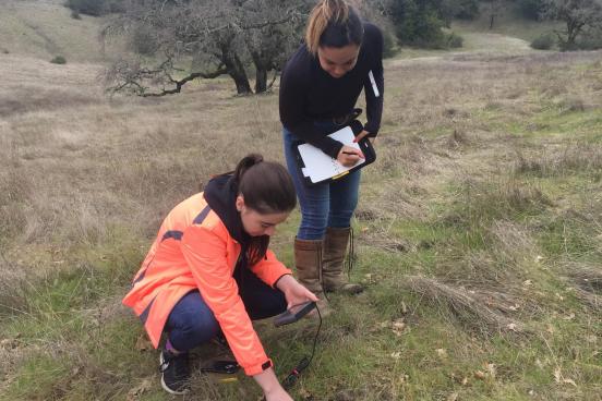 students looking at soil