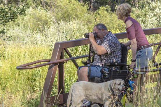 A woman and dog stand by a wheelchair user using a camera in a marsh