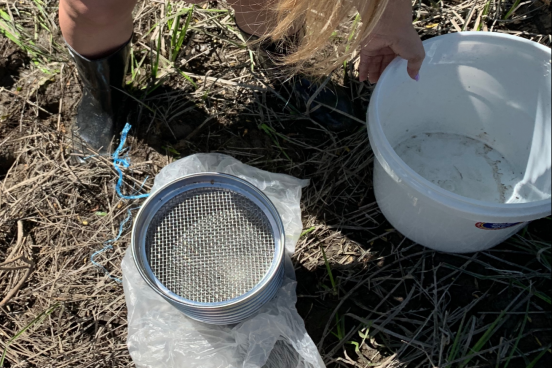 Student with sieve and bucket