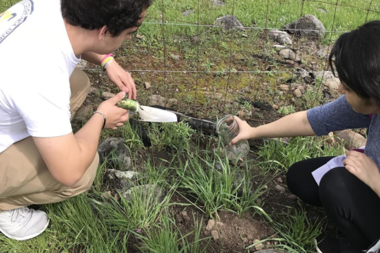 Students collecting soil samples