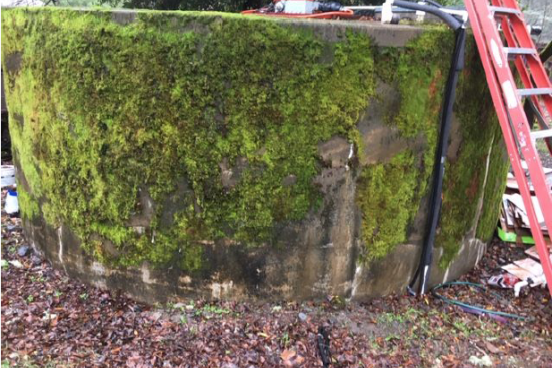 Moss-covered water tank