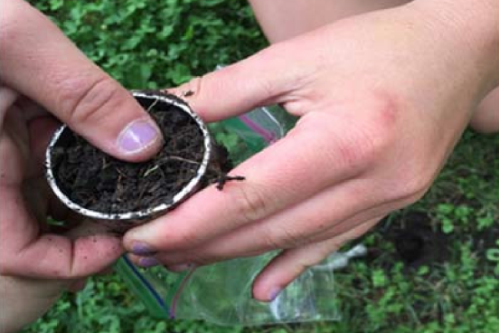 Student collecting soil sample