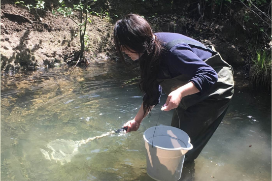 student standing in a pond with a net and bucket