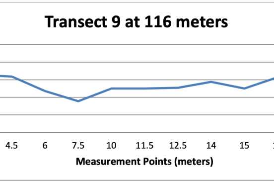 Profile of the creek along a transect