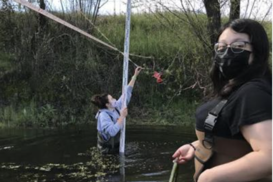 students take measurements in a creek