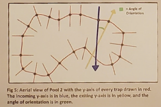 diagram of pool indicating traps