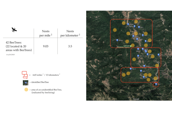 chart and map of bee sites at Galbreath Preserve