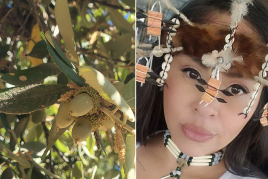 tanoak acorn in tree and Pomo woman's face
