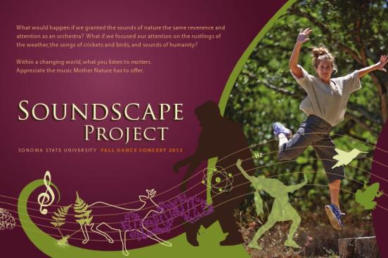 Poster of the soundscape project