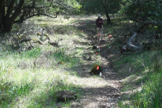 Student collecting data along a hiking trail