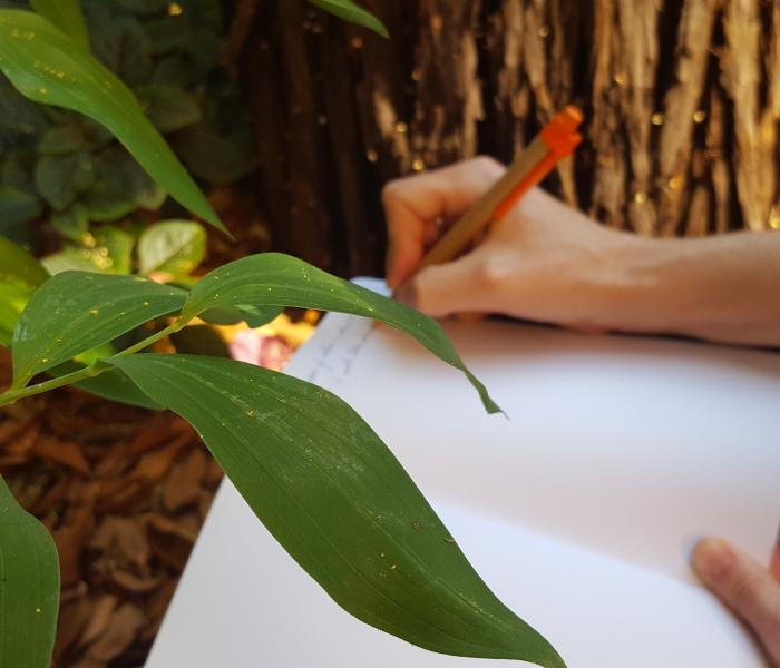 person writing in journal near plant