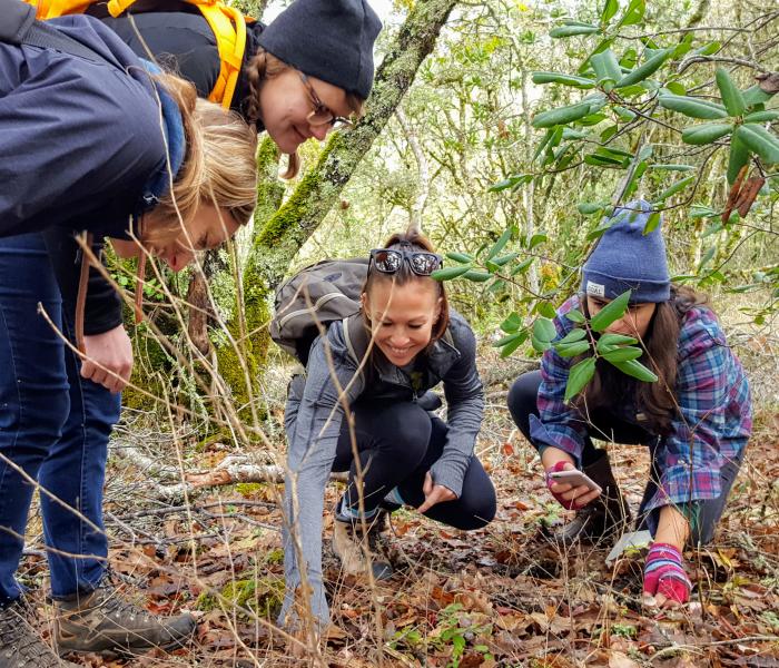 Mycology Blitz in 2017