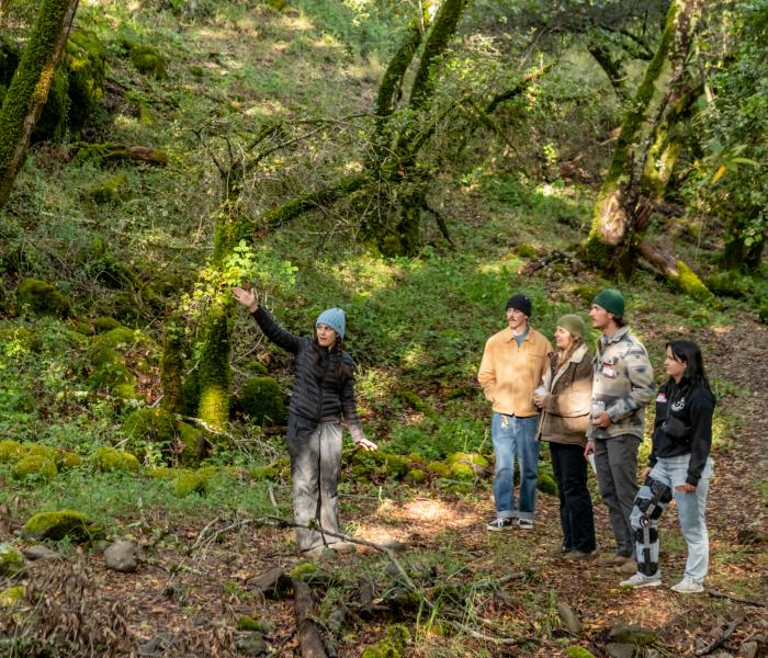 Hikers on a guided tour at Osborn Preserve