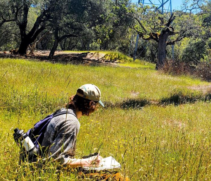 young man with notebook in field of flowers near utility tower