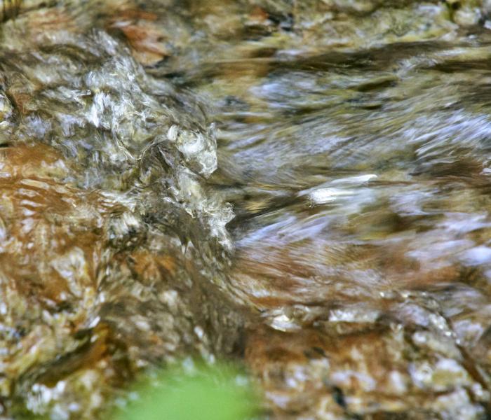 Rushing water in creek