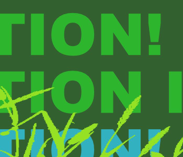 - - - - Thin banner