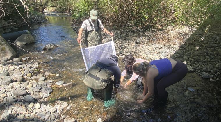 Students collecting Macroinvertebrate samples along Copeland Creek